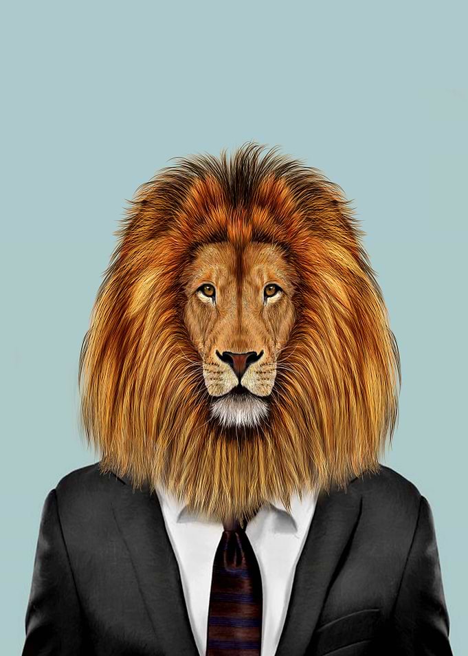lion portrait