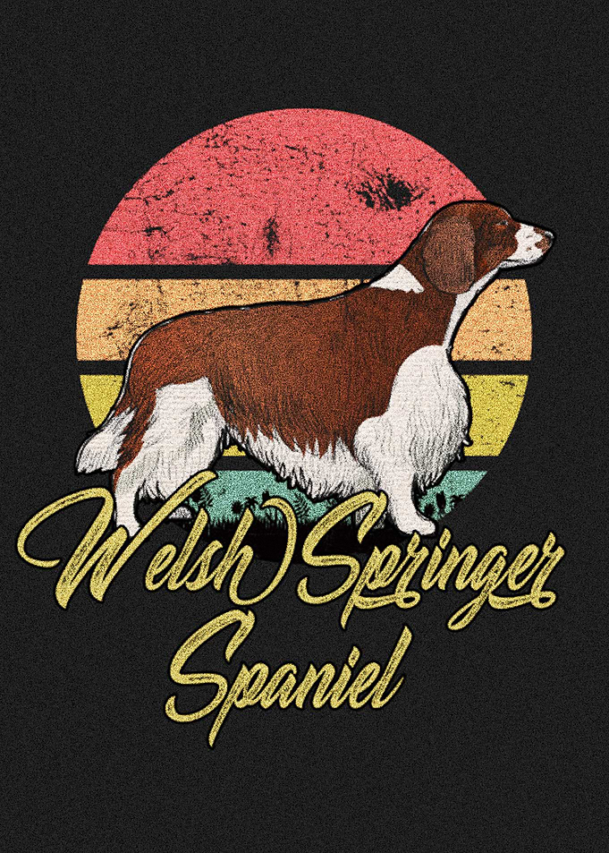 Welsh Springer Spanied