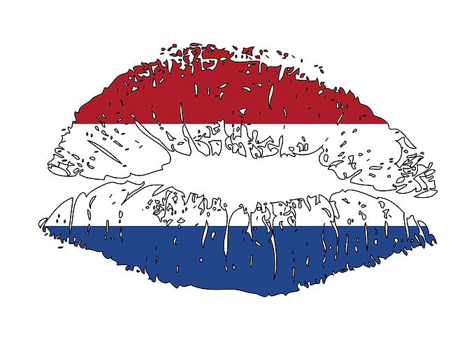 The Netherlands flag