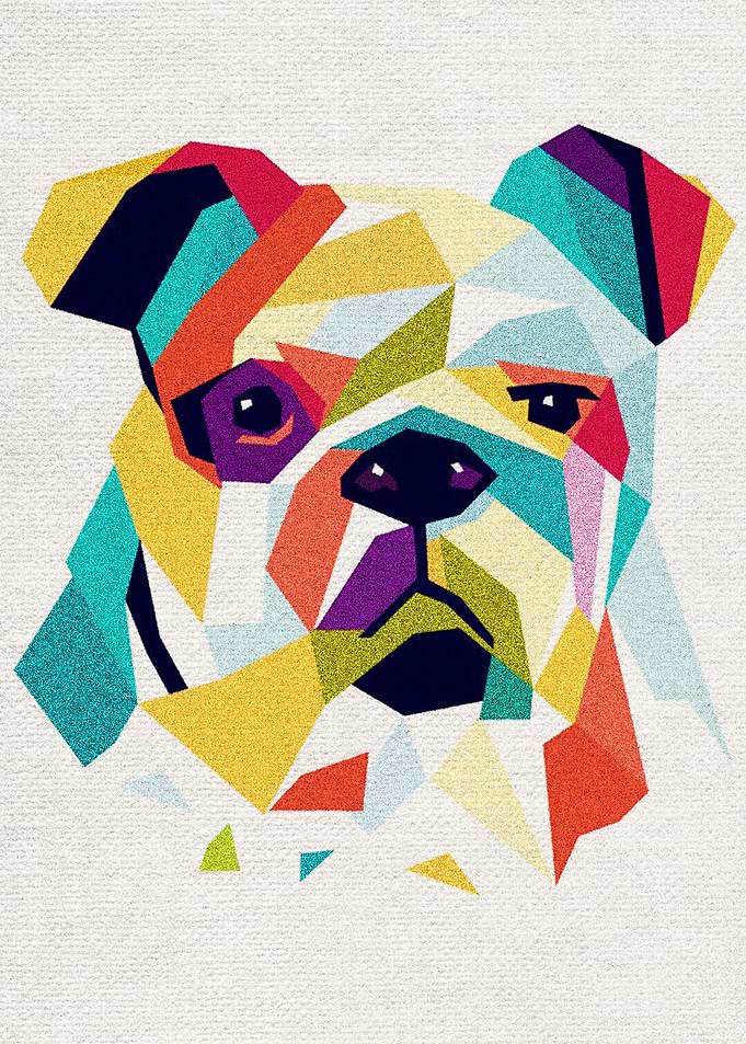 Bull Dog