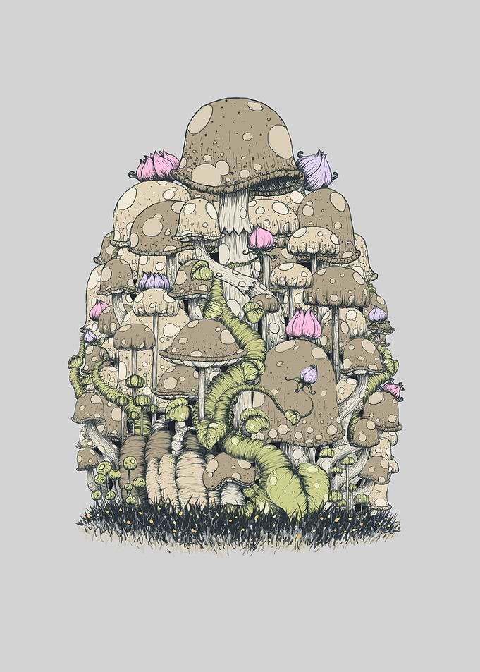 High Land
