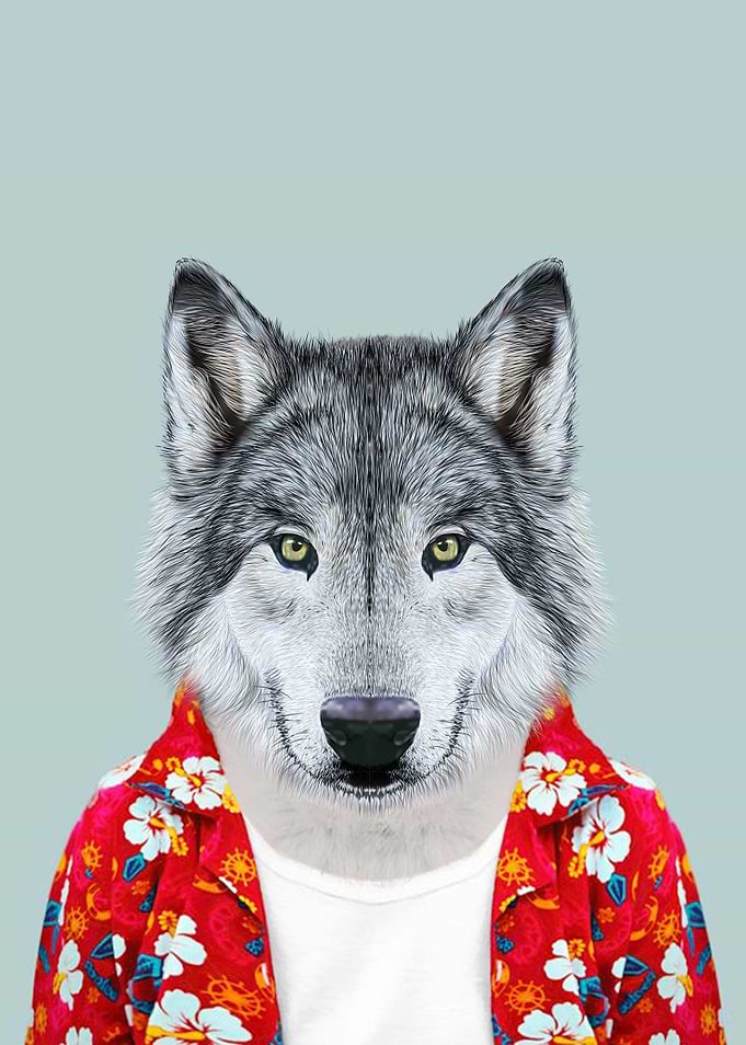 wolf portrait
