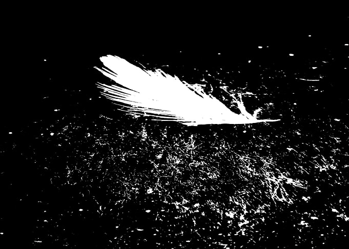 Feather art
