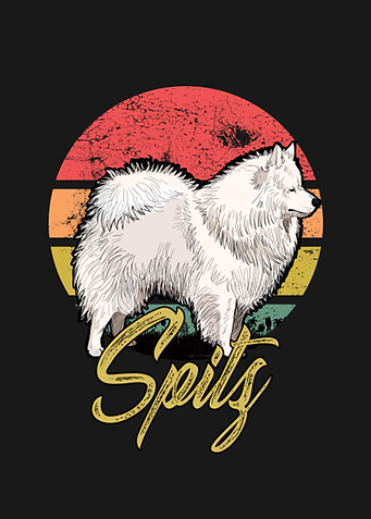 Spitz
