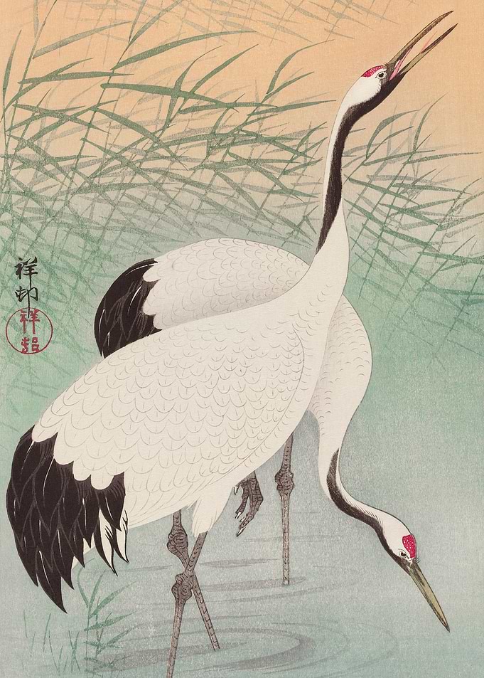 Ohara Konso Stork