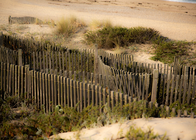 Fence