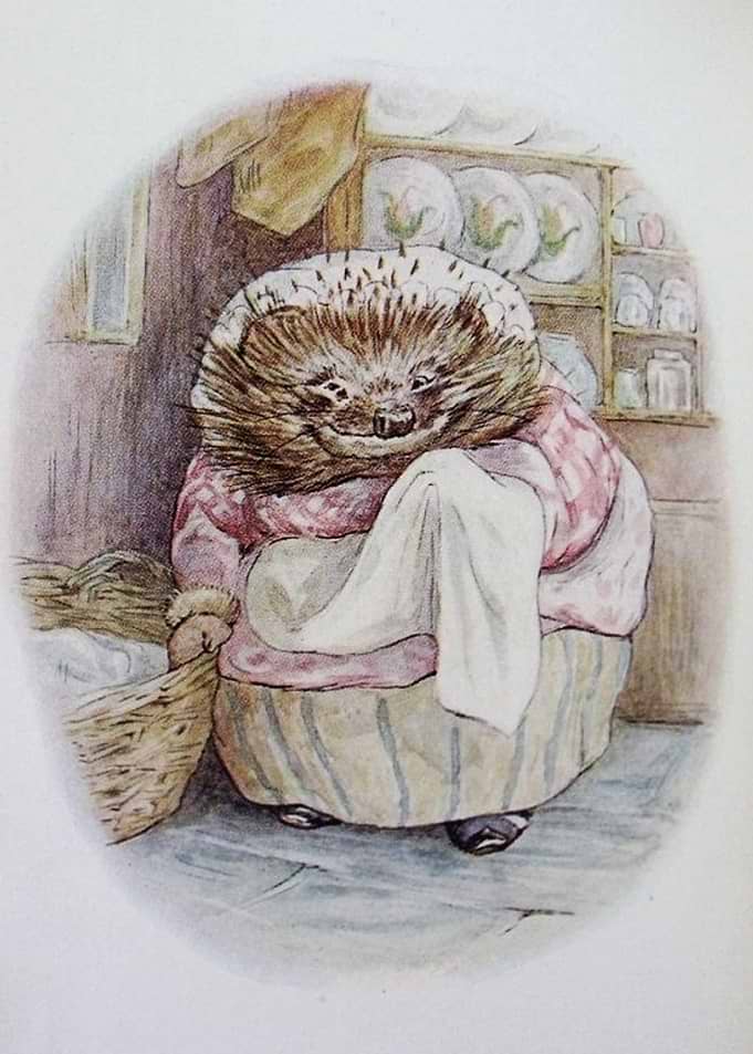 Mrs Tiggywinkle