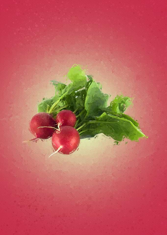 Radish