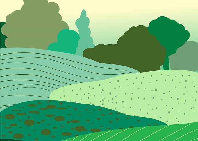 Nature landscape