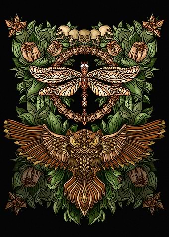 Owl Moth