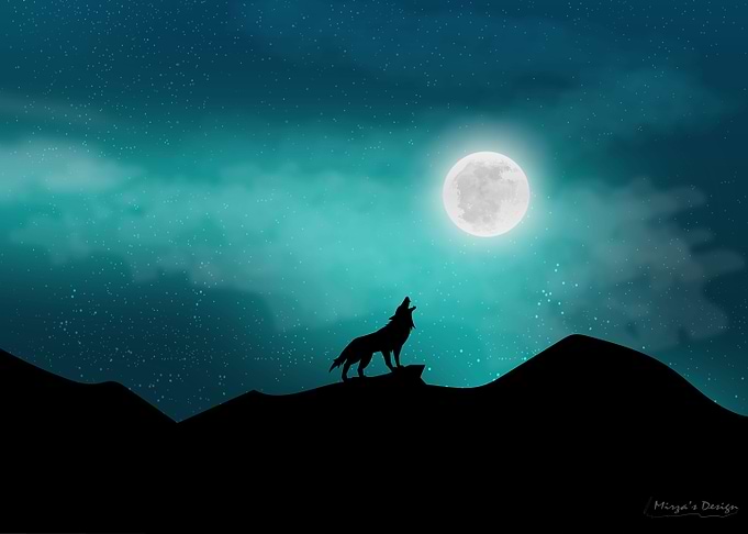 Moonlit Night