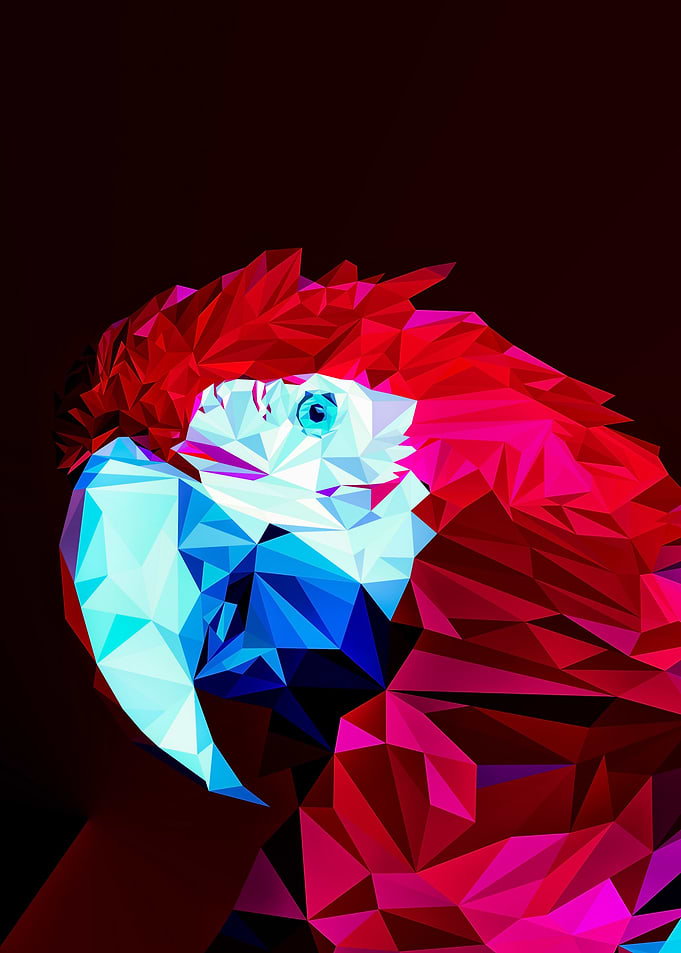 Lowpoly Parrots