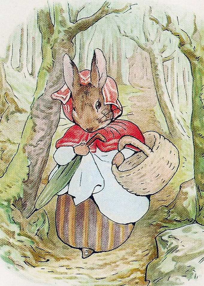 Mrs Rabbit goes shopping