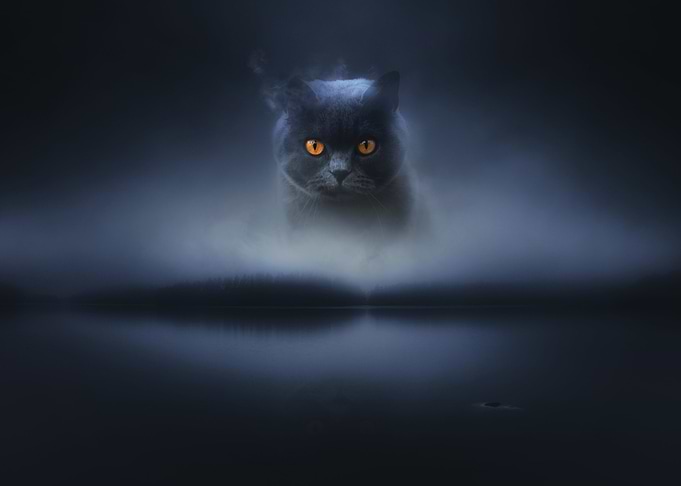 Lake Kittycaca
