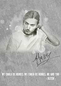 Alesso Canvas