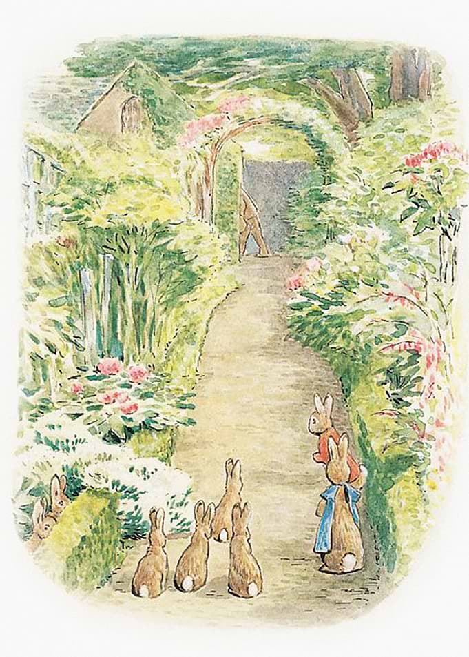 Rabbits on the farm
