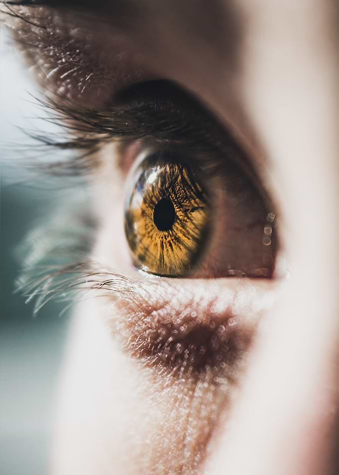 The Eye