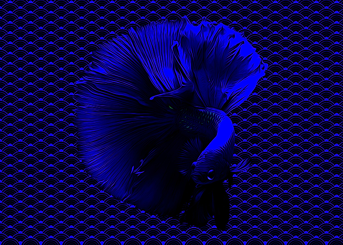 Blue Fish