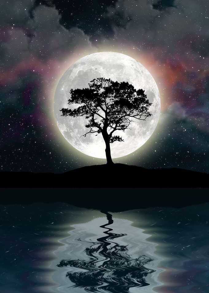 The beauty of Night