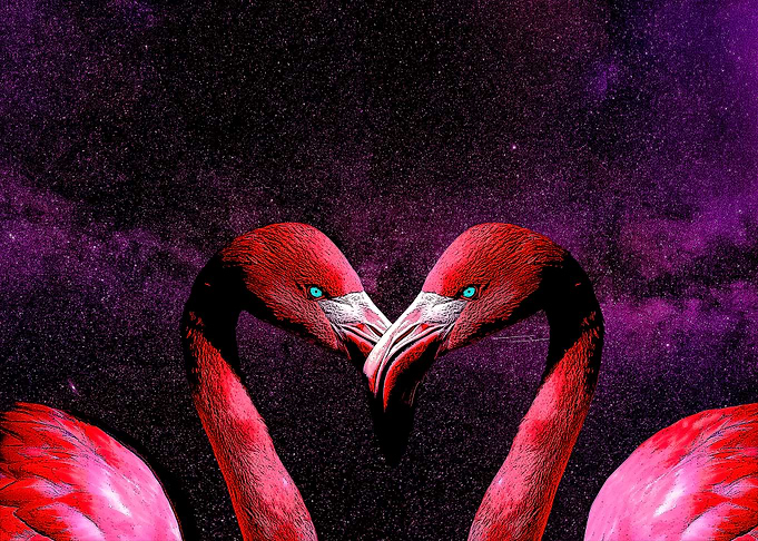 Flamingos In Space