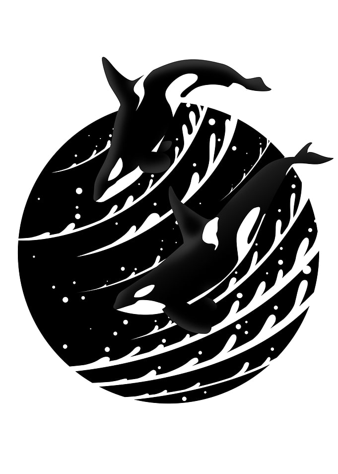 Minimalist Killer whale