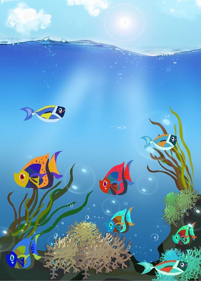 Colorful Fishes Underwater
