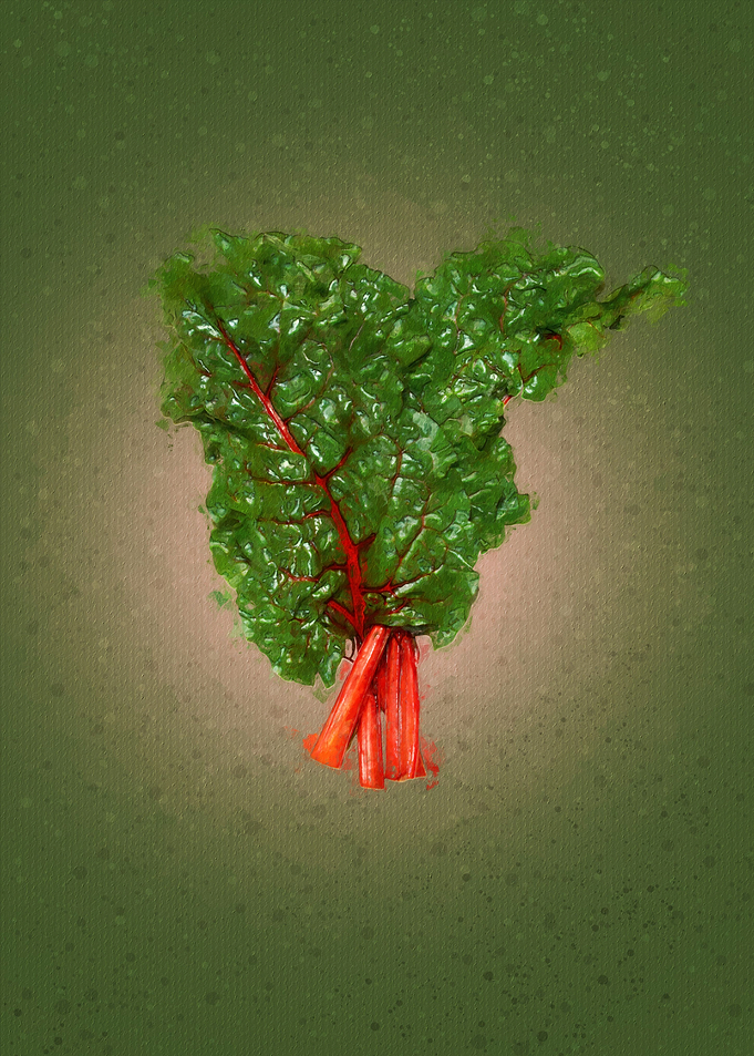 red swiss chard