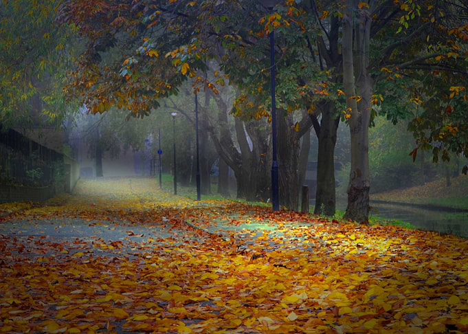 Autumn