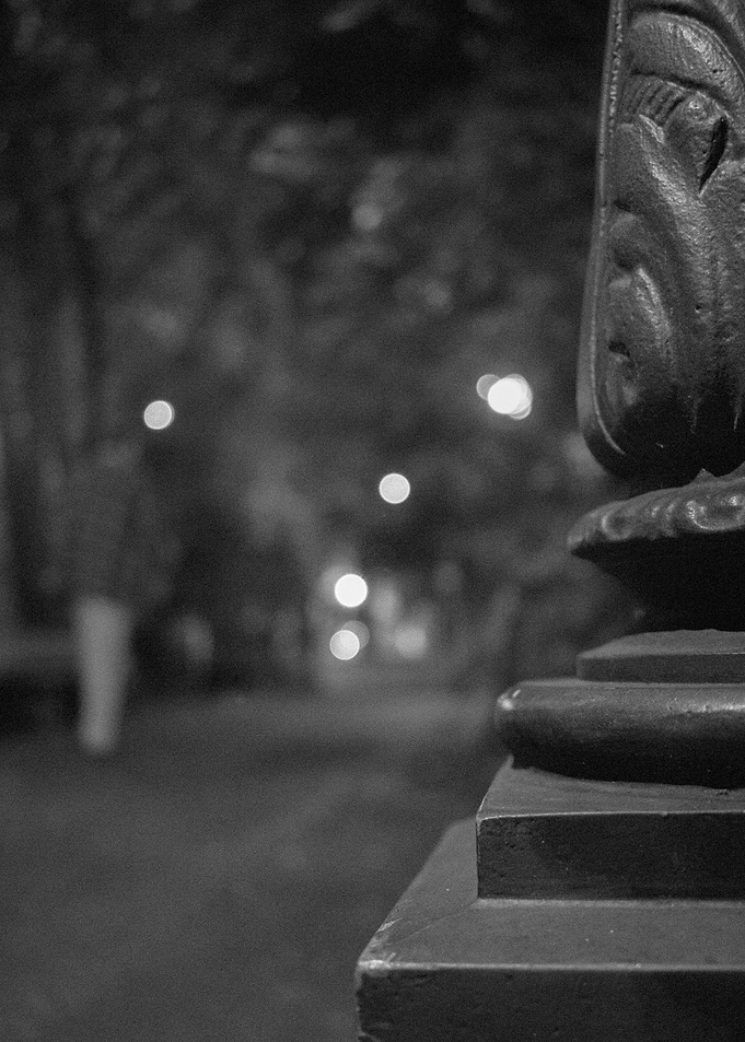 Alleine am Park