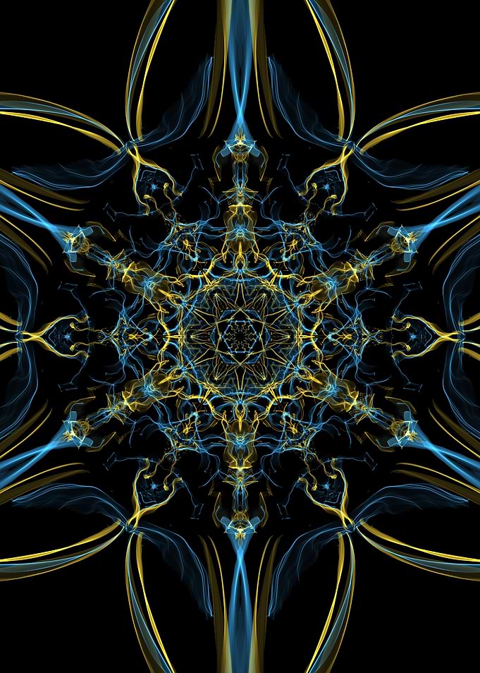 Lotus Vibes