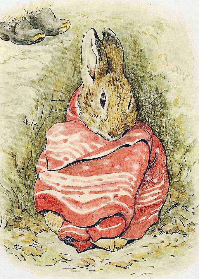 Sleeping Bunny