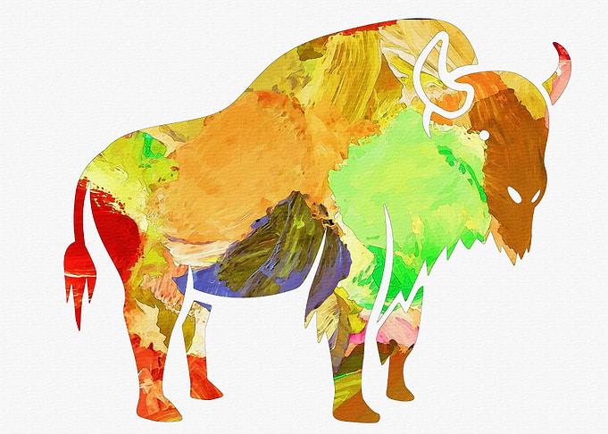 Bison