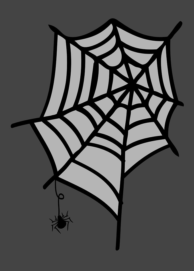 spider web 2