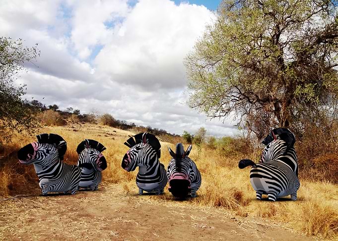 Wild life in Tanzania