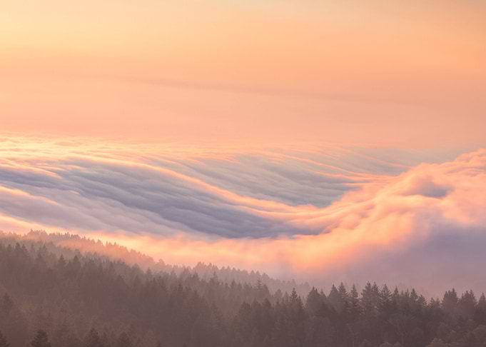 Cloudy Forest Top Painting