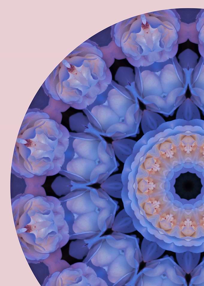 Floral Mandala II