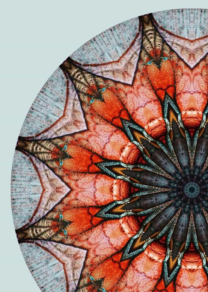 Moth Mandala I