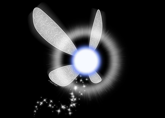 Navi