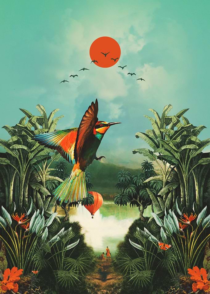 Wonderland