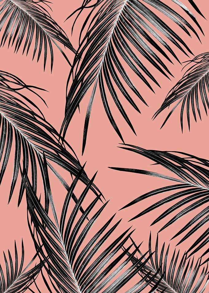 Black Palm Leaves Dream 5