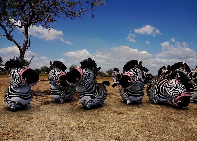 Wild life in Tanzania