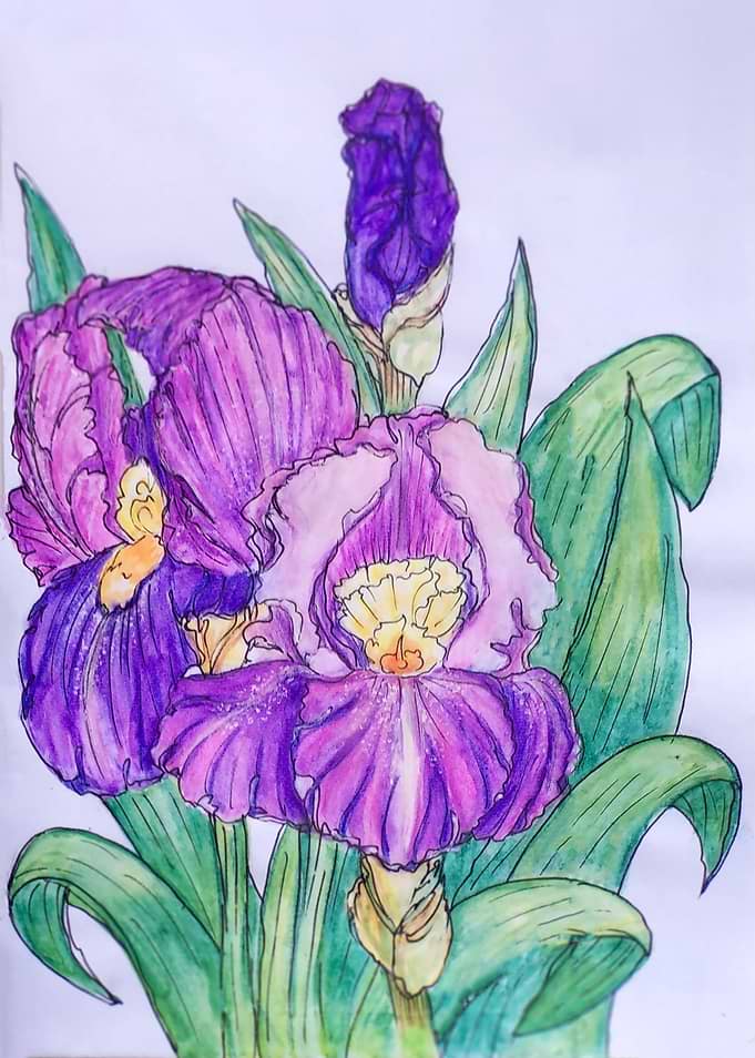 Flower de luce