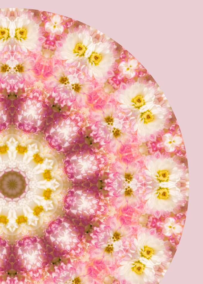 Floral Mandala I