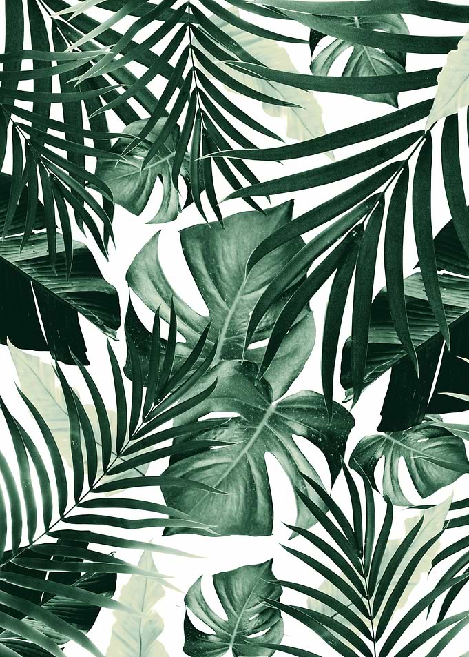 Tropical Jungle Leaves 4