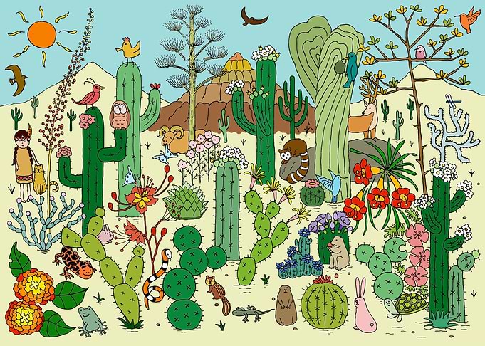 Arizona Desert