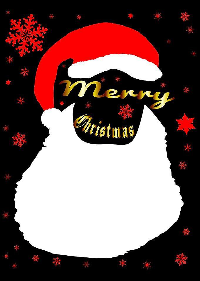 Merry Christmas Santa