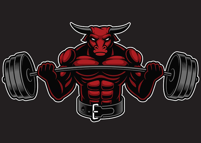 Bodybuilding Bull