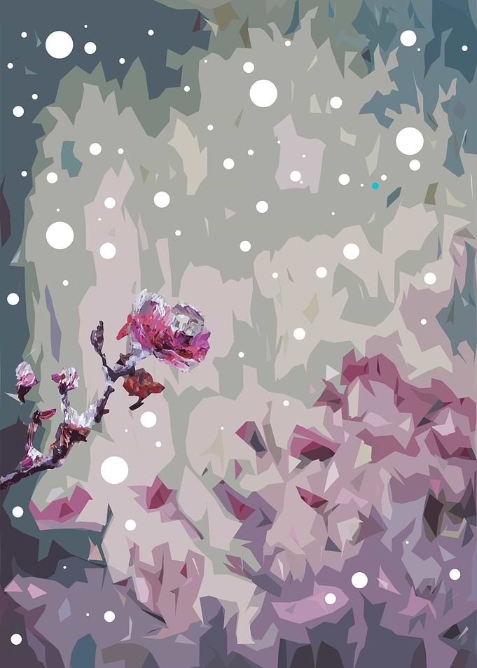 First snow