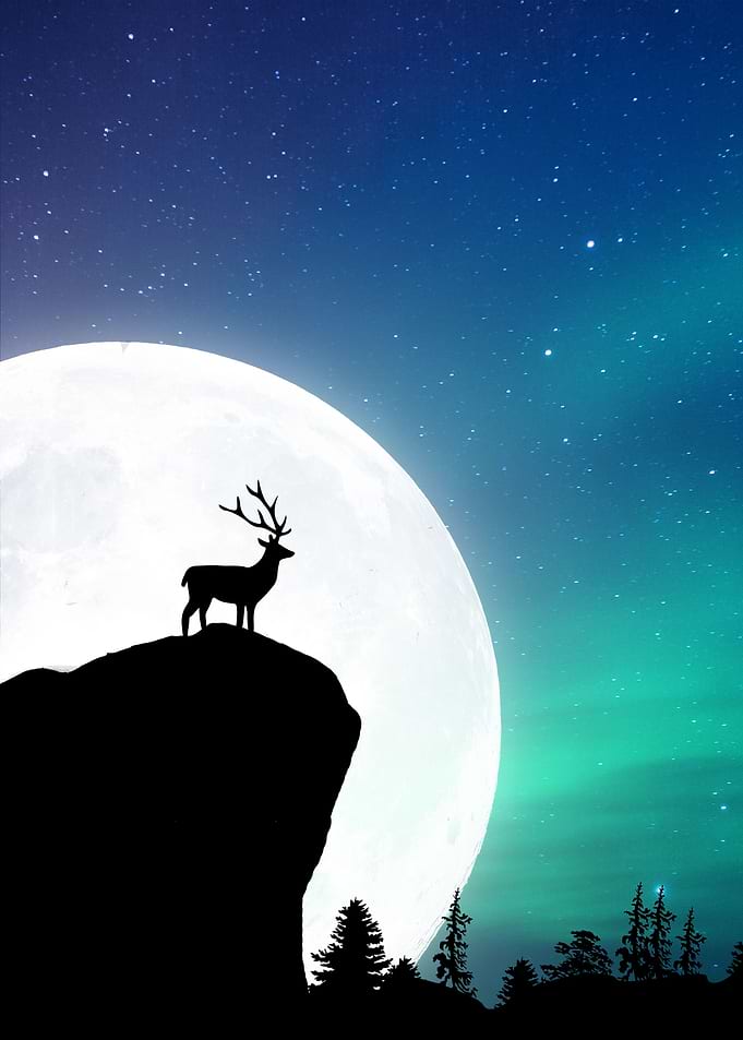 Deer Silhouette Art