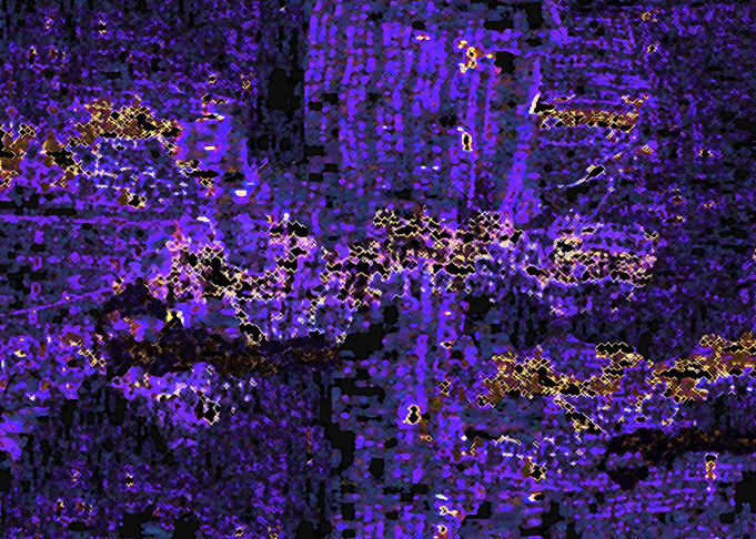 PURPLE PLANET